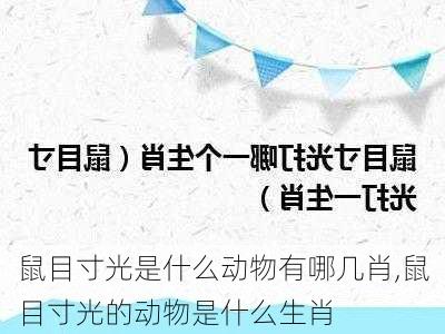 鼠目寸光是什么动物有哪几肖,鼠目寸光的动物是什么生肖