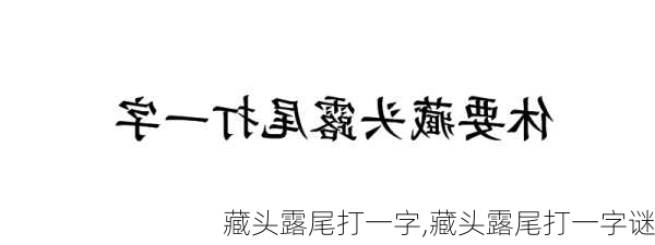 藏头露尾打一字,藏头露尾打一字谜