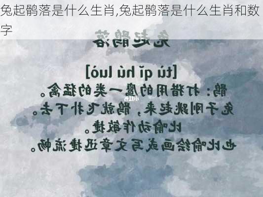 兔起鹘落是什么生肖,兔起鹘落是什么生肖和数字