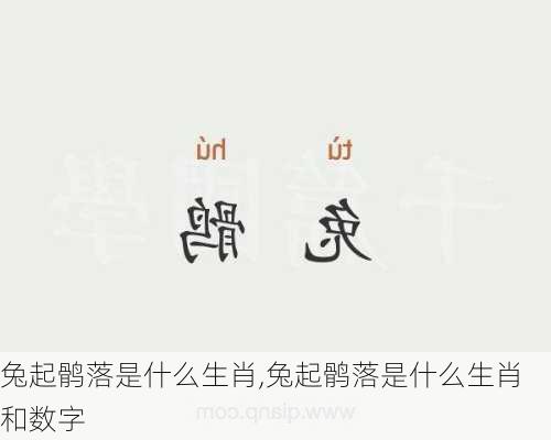 兔起鹘落是什么生肖,兔起鹘落是什么生肖和数字