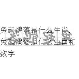 兔起鹘落是什么生肖,兔起鹘落是什么生肖和数字