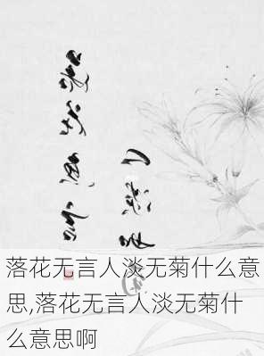 落花无言人淡无菊什么意思,落花无言人淡无菊什么意思啊