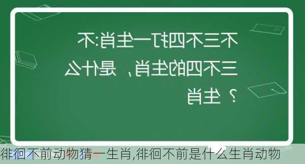 徘徊不前动物猜一生肖,徘徊不前是什么生肖动物