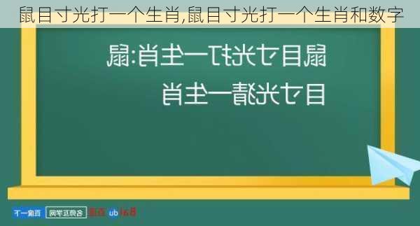 鼠目寸光打一个生肖,鼠目寸光打一个生肖和数字