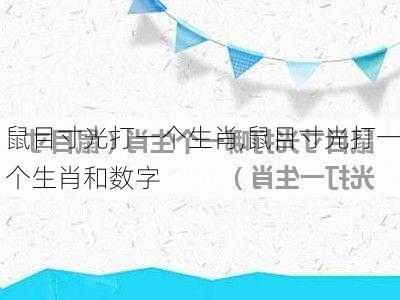 鼠目寸光打一个生肖,鼠目寸光打一个生肖和数字