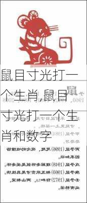 鼠目寸光打一个生肖,鼠目寸光打一个生肖和数字