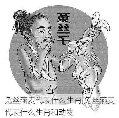 兔丝燕麦代表什么生肖,兔丝燕麦代表什么生肖和动物