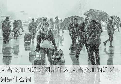 风雪交加的近义词是什么,风雪交加的近义词是什么词