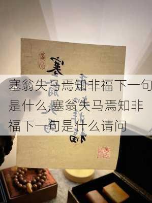 塞翁失马焉知非福下一句是什么,塞翁失马焉知非福下一句是什么请问