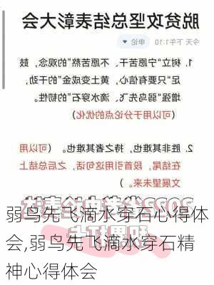 弱鸟先飞滴水穿石心得体会,弱鸟先飞滴水穿石精神心得体会