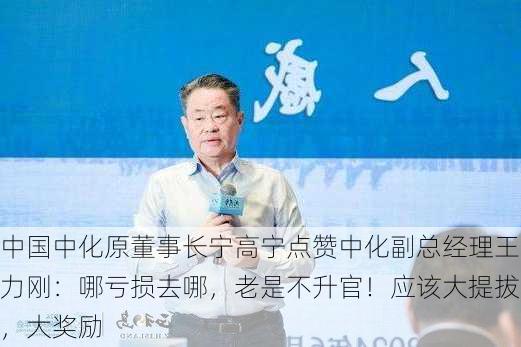 中国中化原董事长宁高宁点赞中化副总经理王力刚：哪亏损去哪，老是不升官！应该大提拔，大奖励