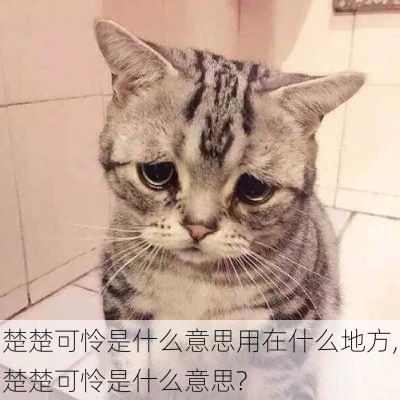 楚楚可怜是什么意思用在什么地方,楚楚可怜是什么意思?