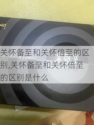 关怀备至和关怀倍至的区别,关怀备至和关怀倍至的区别是什么