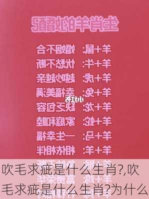 吹毛求疵是什么生肖?,吹毛求疵是什么生肖?为什么