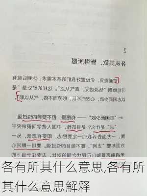 各有所其什么意思,各有所其什么意思解释