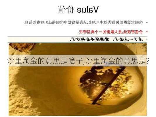 沙里淘金的意思是啥子,沙里淘金的意思是?