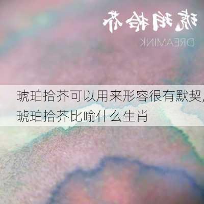 琥珀拾芥可以用来形容很有默契,琥珀拾芥比喻什么生肖