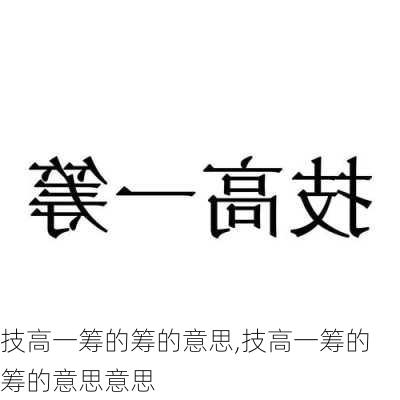 技高一筹的筹的意思,技高一筹的筹的意思意思