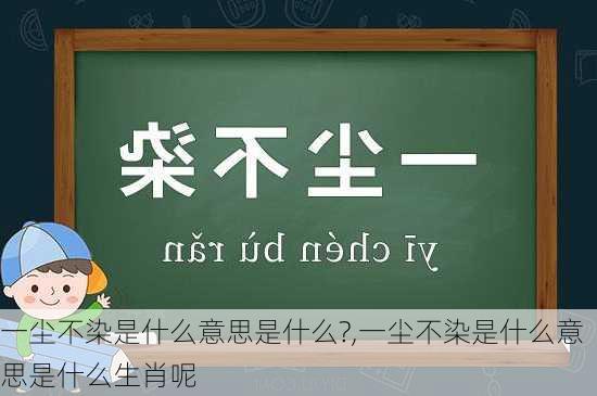 一尘不染是什么意思是什么?,一尘不染是什么意思是什么生肖呢