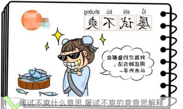 屡试不爽什么意思,屡试不爽的爽意思解释