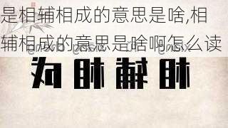 是相辅相成的意思是啥,相辅相成的意思是啥啊怎么读