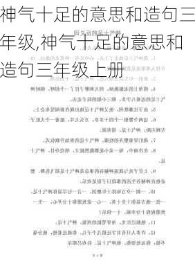 神气十足的意思和造句三年级,神气十足的意思和造句三年级上册