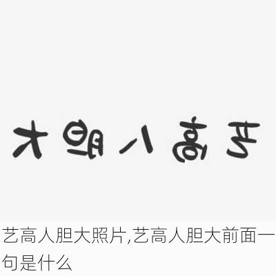 艺高人胆大照片,艺高人胆大前面一句是什么