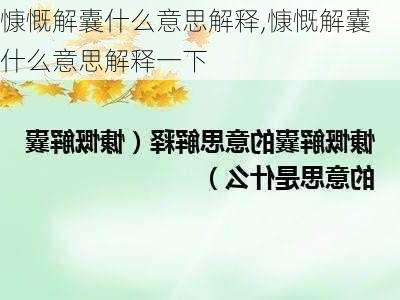 慷慨解囊什么意思解释,慷慨解囊什么意思解释一下