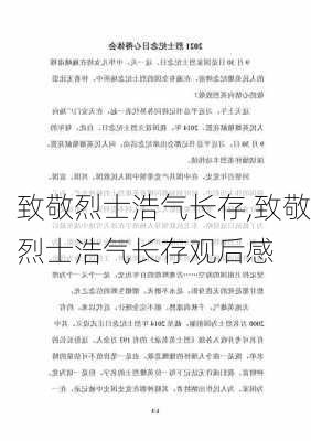 致敬烈士浩气长存,致敬烈士浩气长存观后感