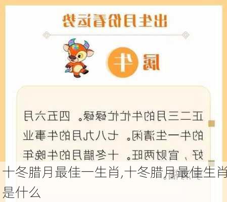 十冬腊月最佳一生肖,十冬腊月最佳生肖是什么