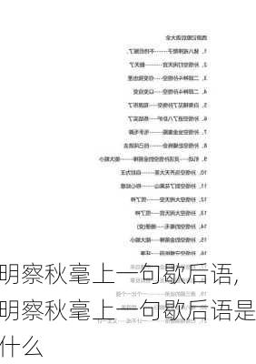 明察秋毫上一句歇后语,明察秋毫上一句歇后语是什么