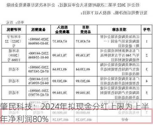 肇民科技：2024年拟现金分红上限为上半年净利润80%