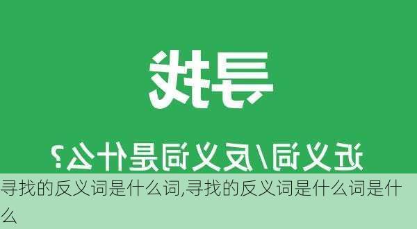 寻找的反义词是什么词,寻找的反义词是什么词是什么