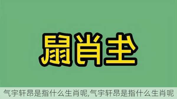 气宇轩昂是指什么生肖呢,气宇轩昂是指什么生肖呢