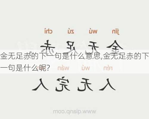 金无足赤的下一句是什么意思,金无足赤的下一句是什么呢?