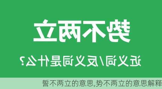 誓不两立的意思,势不两立的意思解释