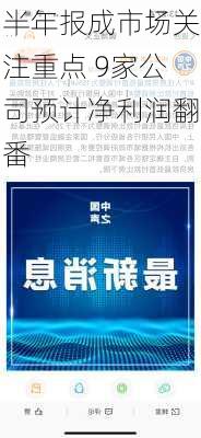 半年报成市场关注重点 9家公司预计净利润翻番