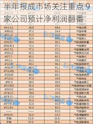 半年报成市场关注重点 9家公司预计净利润翻番