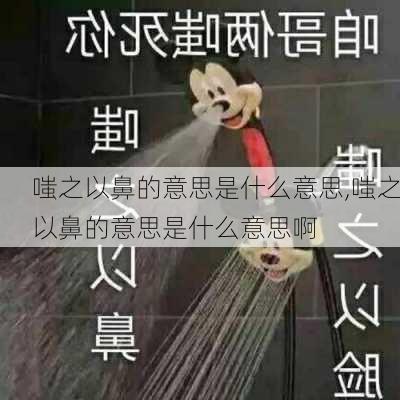 嗤之以鼻的意思是什么意思,嗤之以鼻的意思是什么意思啊