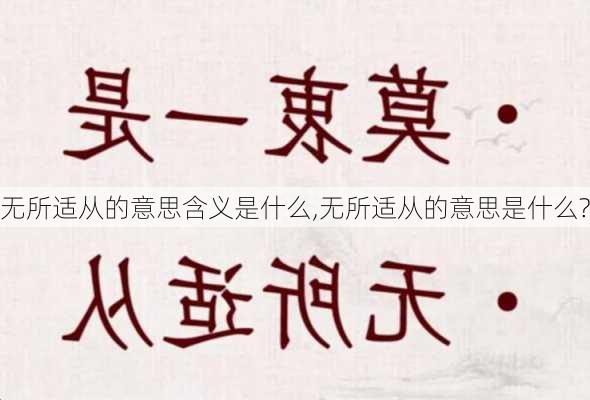 无所适从的意思含义是什么,无所适从的意思是什么?