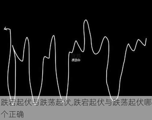 跌宕起伏与跌荡起伏,跌宕起伏与跌荡起伏哪个正确