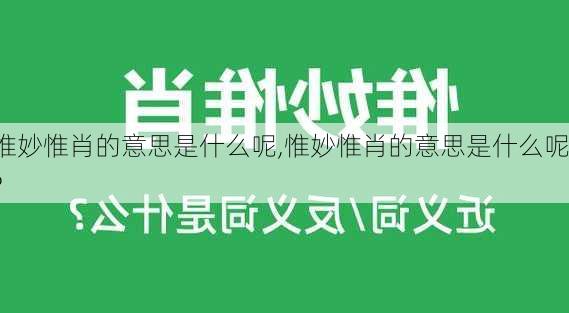 惟妙惟肖的意思是什么呢,惟妙惟肖的意思是什么呢?