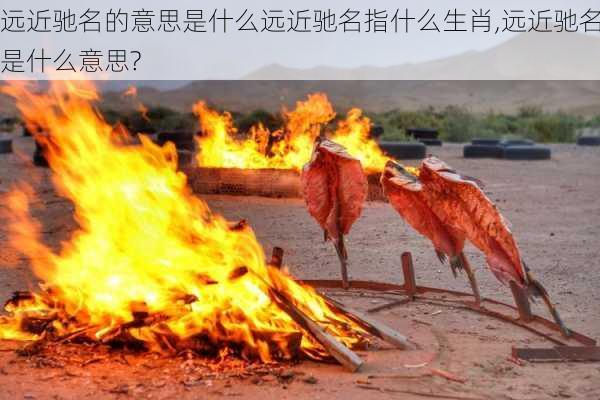 远近驰名的意思是什么远近驰名指什么生肖,远近驰名是什么意思?