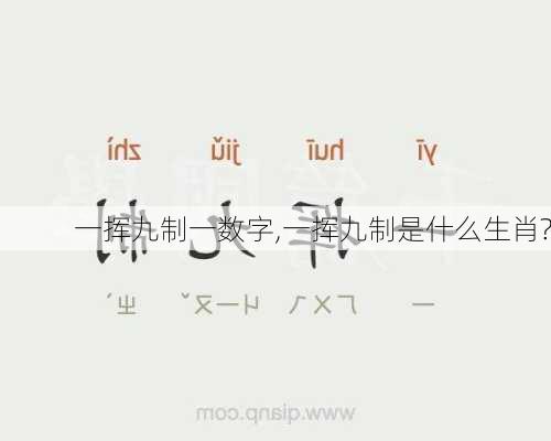 一挥九制一数字,一挥九制是什么生肖?