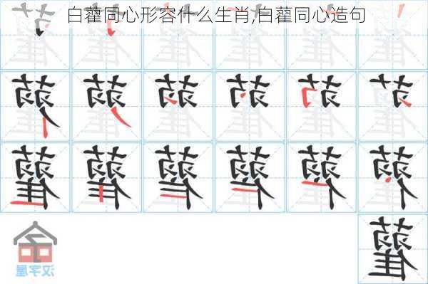 白藋同心形容什么生肖,白藋同心造句