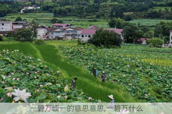 一碧万顷一的意思意思,一碧万什么