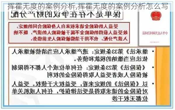 挥霍无度的案例分析,挥霍无度的案例分析怎么写