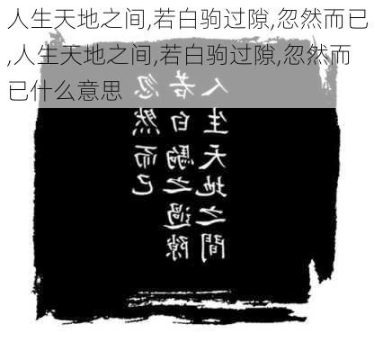 人生天地之间,若白驹过隙,忽然而已,人生天地之间,若白驹过隙,忽然而已什么意思