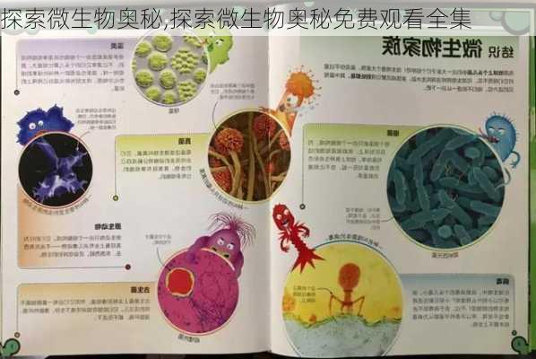 探索微生物奥秘,探索微生物奥秘免费观看全集