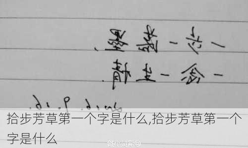 拾步芳草第一个字是什么,拾步芳草第一个字是什么